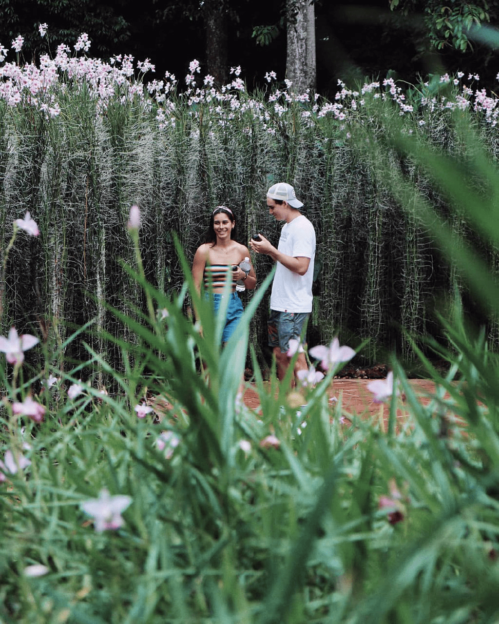 Botanic Gardens - Vanda Joaquim Orchid Walk Couple