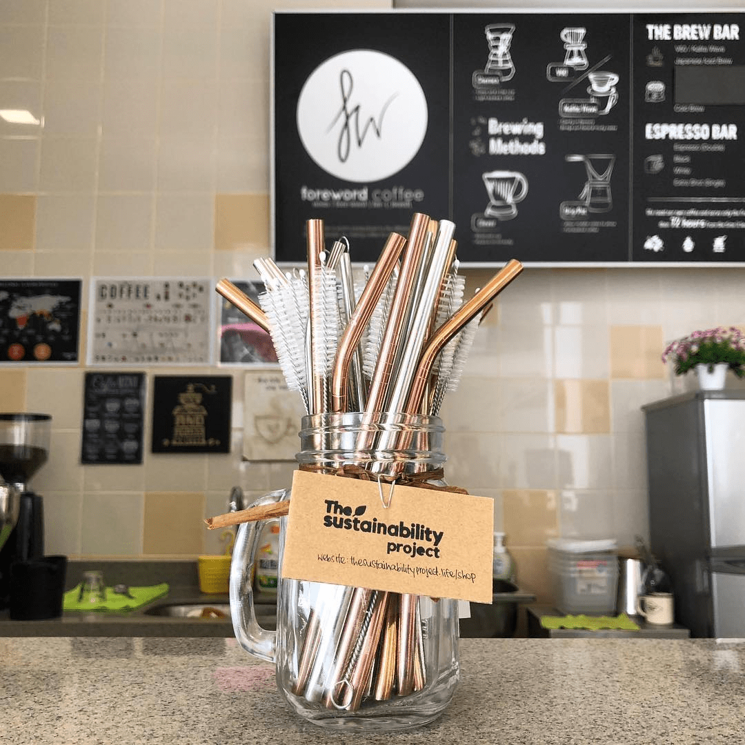 sustainability project metal straw