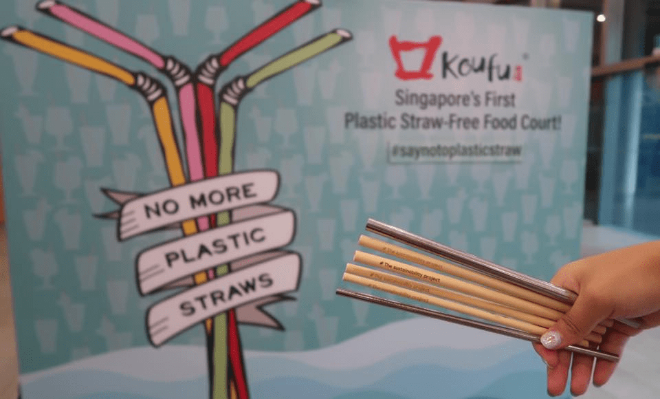 koufu bamboo and metal straws