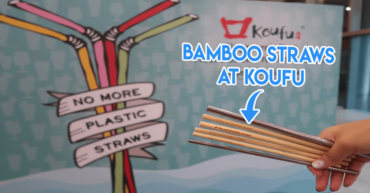 koufu bamboo straws