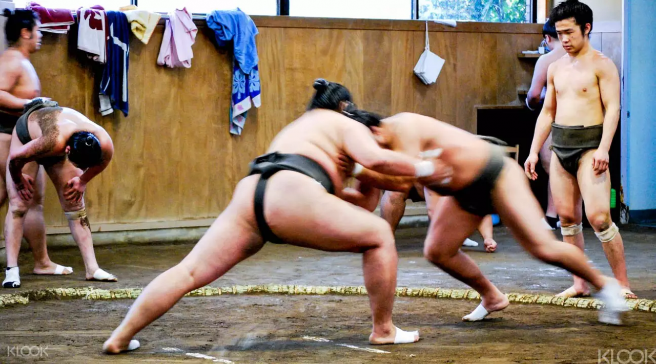 Sumo training Tokyo