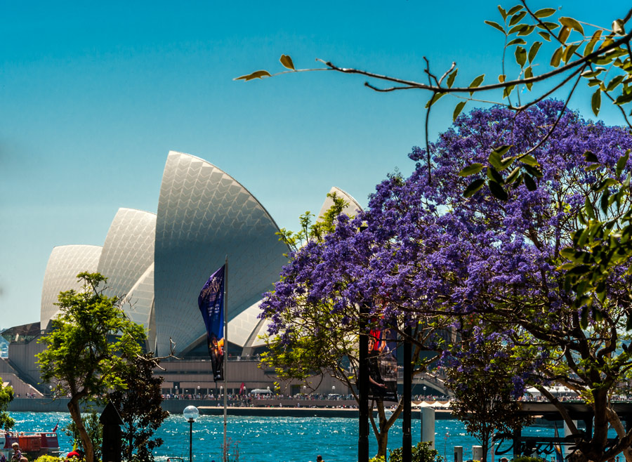 places to visit sydney in spring