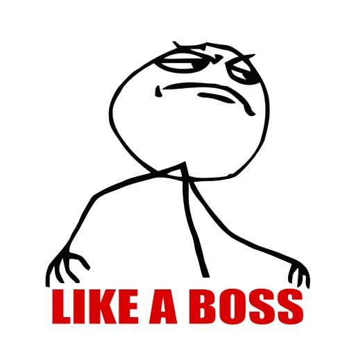 meme-like-a-boss.jpg