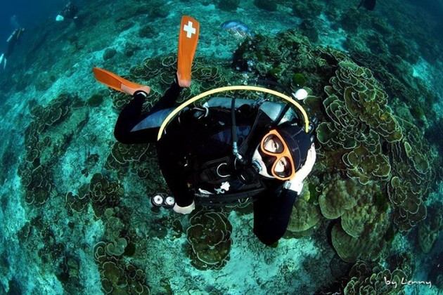 Similan Islands diving 