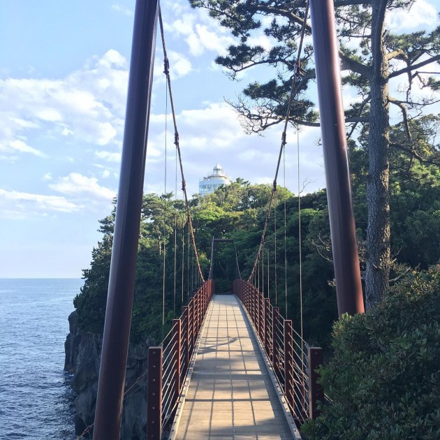 walk across a suspension bridge