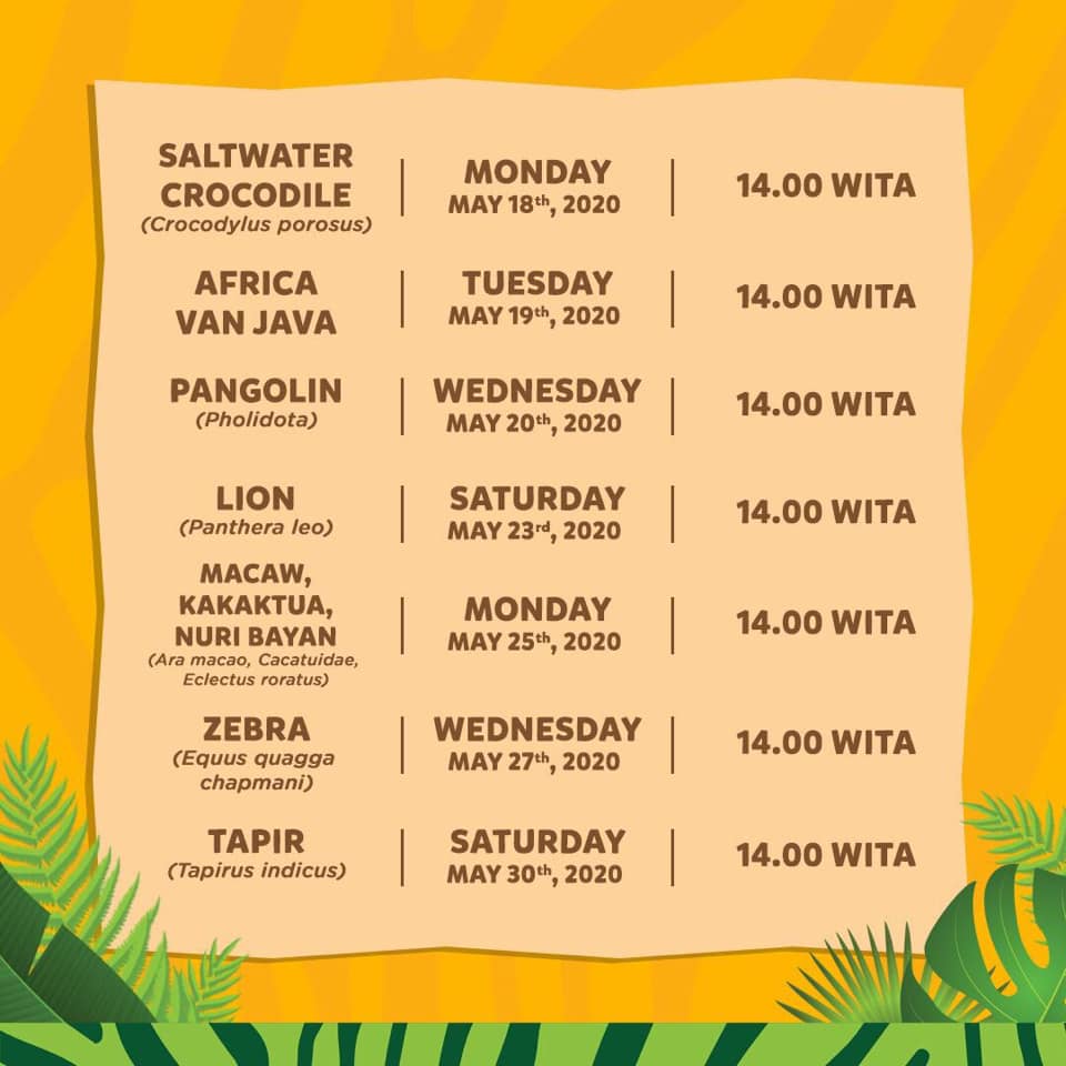 Bali Safari Park Facebook Live Schedule
