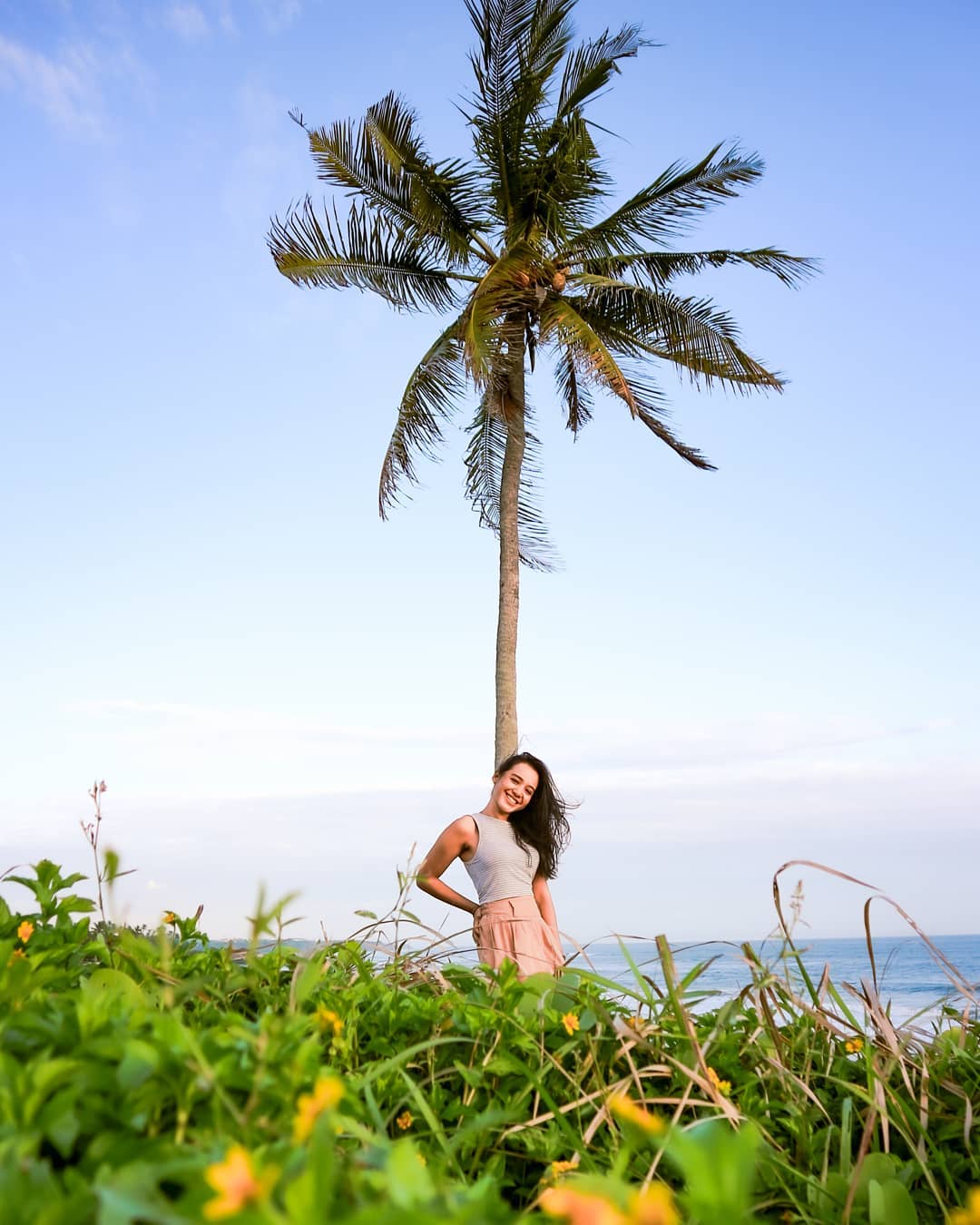 palm tree batu tampih beach