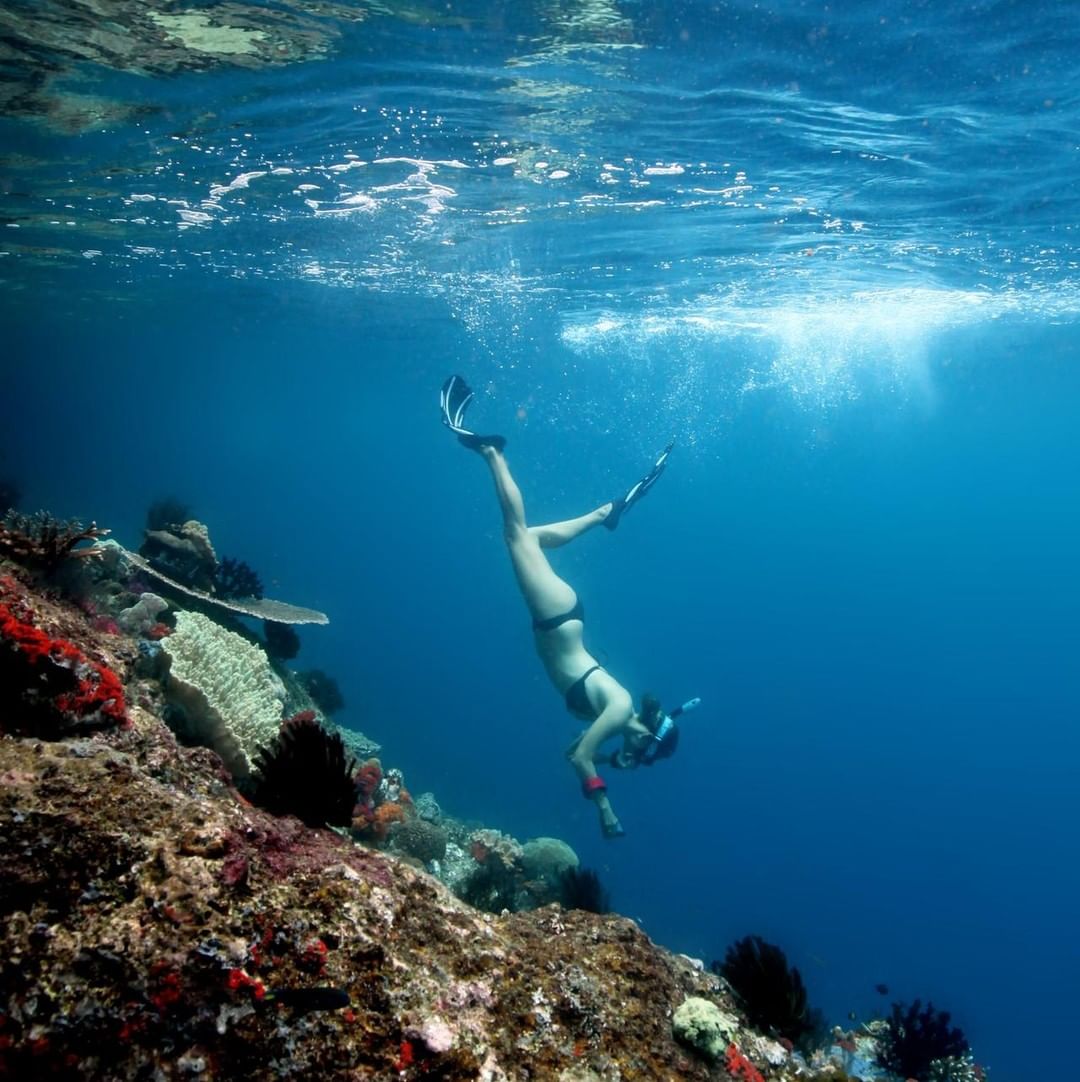 snorkeling in indonesia