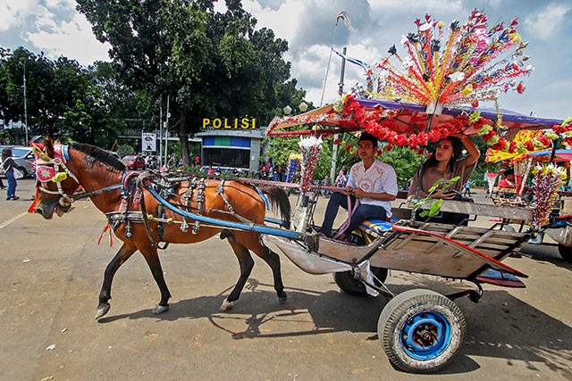 modern delman horse cart in indonesia