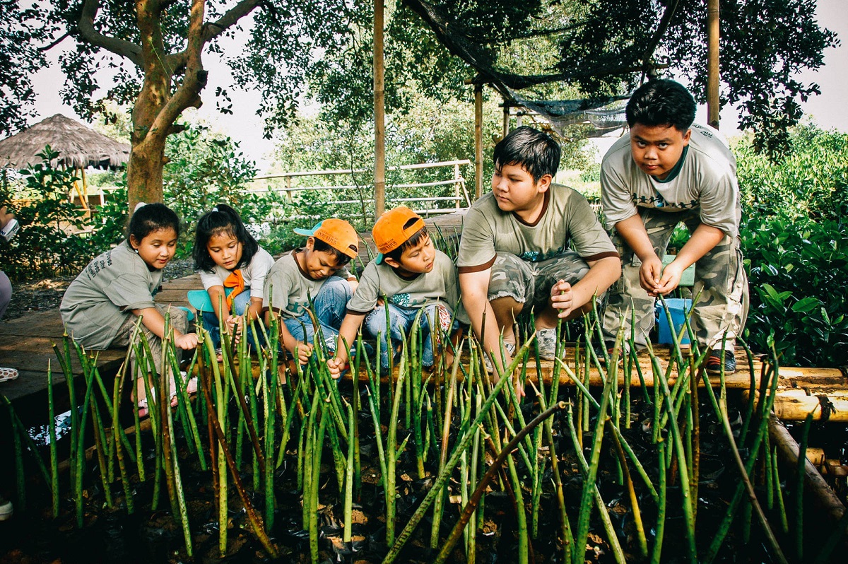 nature attractions in jakarta - pantai indah kapuk seedling planting activity