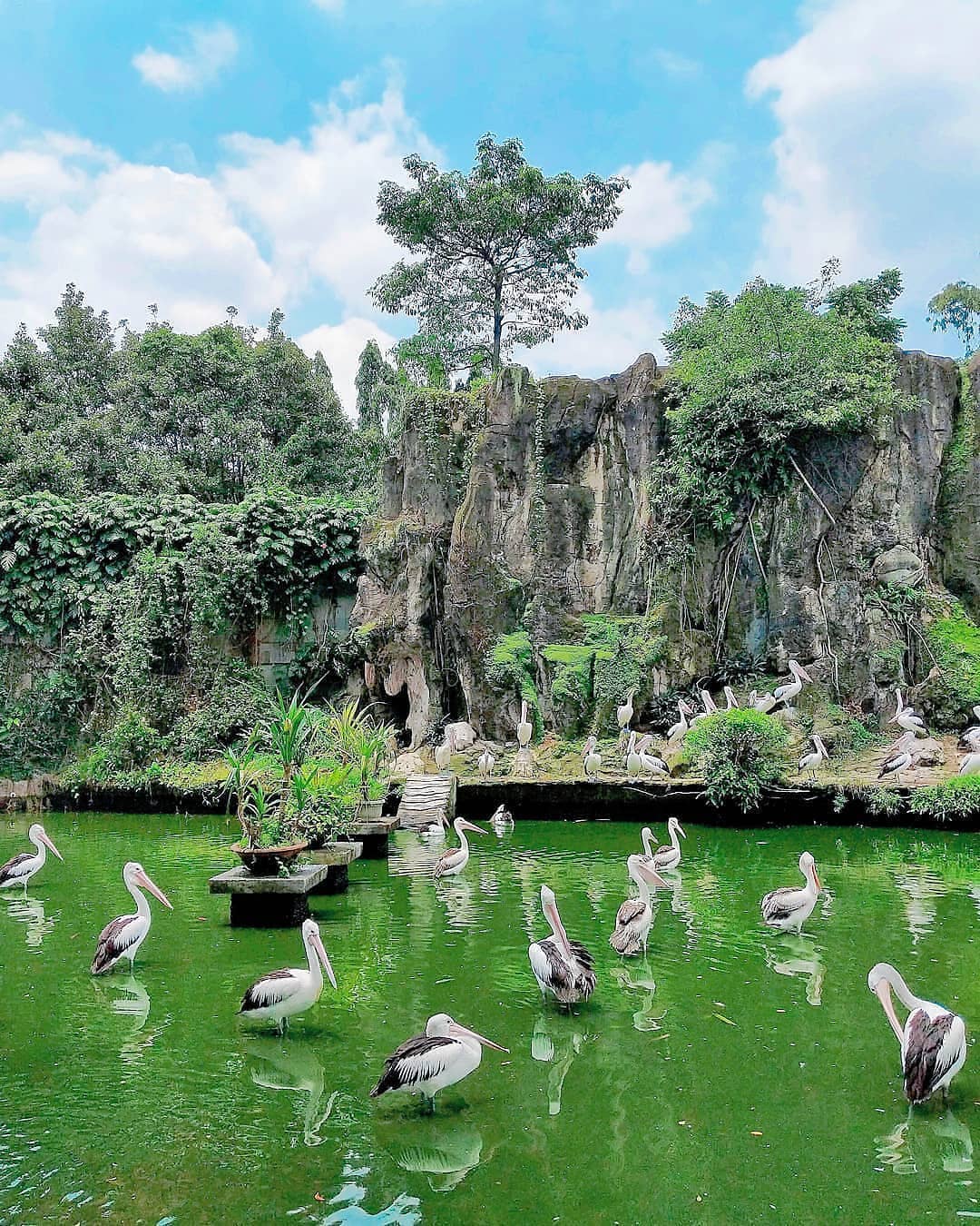 nature attractions in jakarta - ragunan zoo jakarta