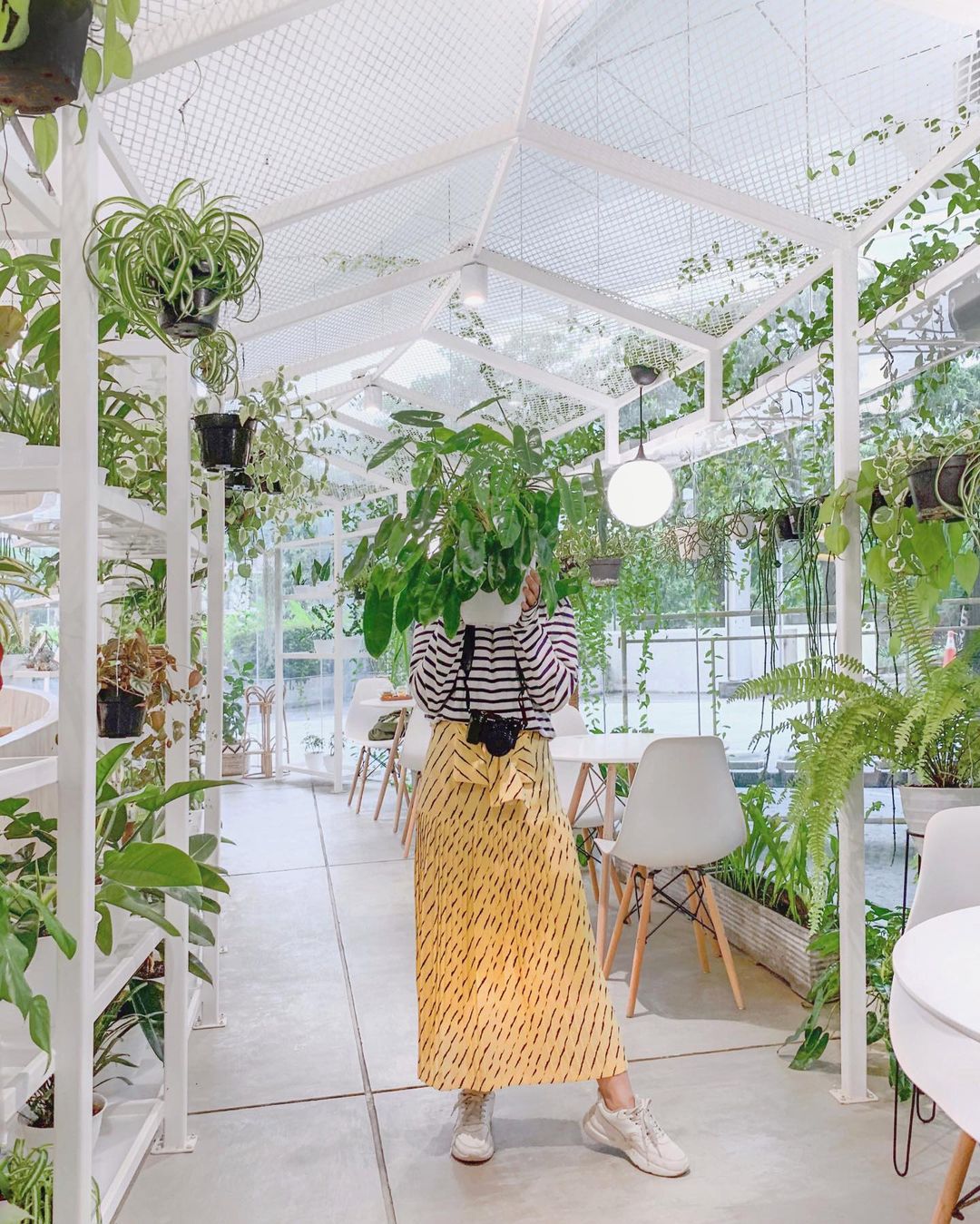 concept stores in jakarta - lof plants