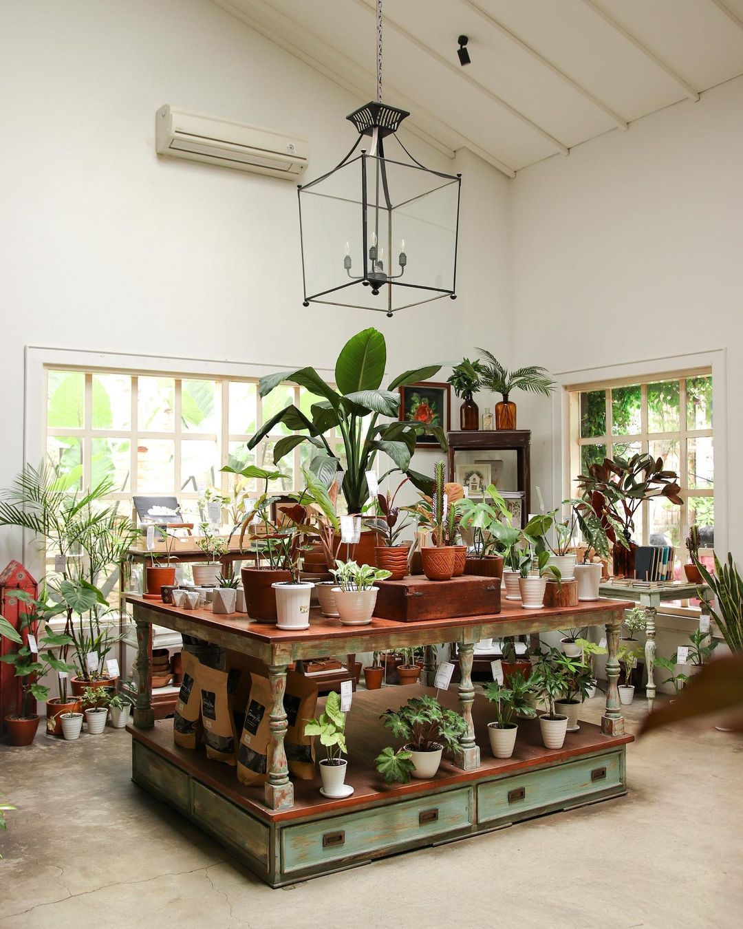 concept stores in jakarta - onni house plants