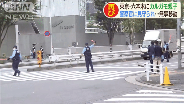 Japanese Policemen Escort Ducks Across Road - policemen stopping traffic for ducks