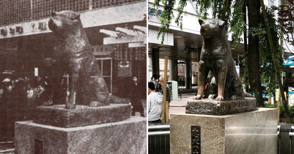 Japan Then And Now - hachiko statue then and now