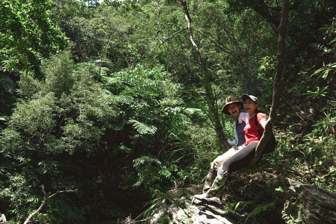 treeful treehouse - explore jungle trekking