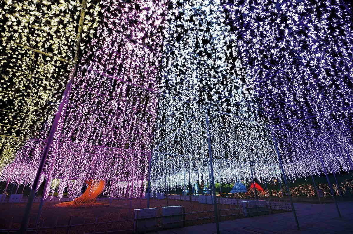 Ashikaga Flower Park Illumination 2020 4 - fuji no hana story of light