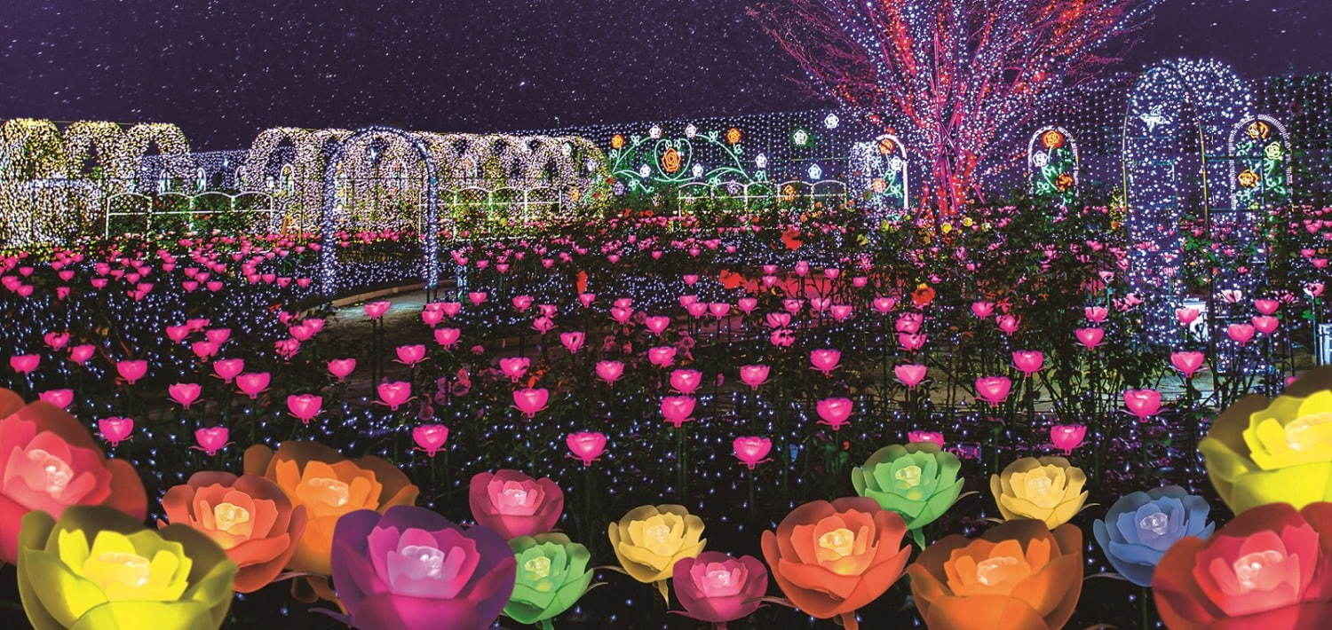 Ashikaga Flower Park Illumination 2020 9 - rose garden of light