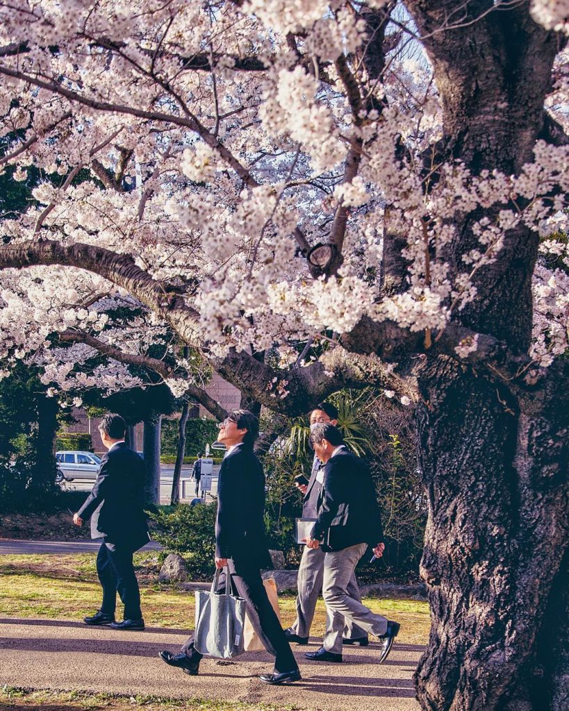Mysteries in Japan - salarymen walking in a park