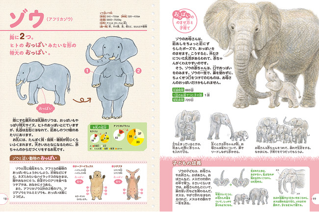 animal picture book breastfeeding - elephant