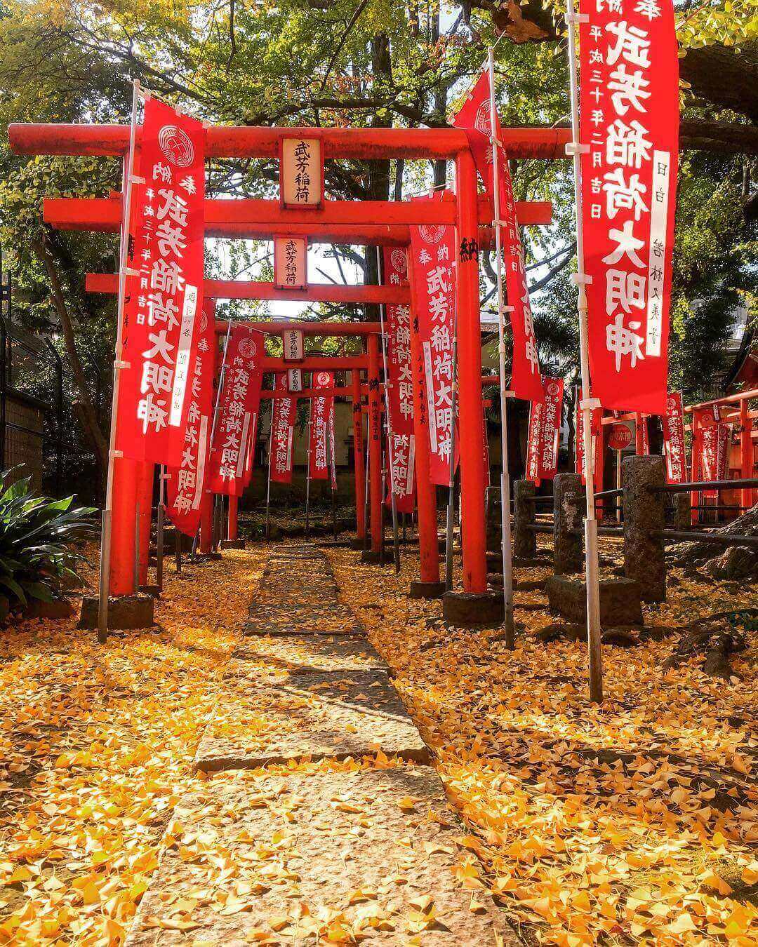 japanese autumn leaves - kishibojin-do temple