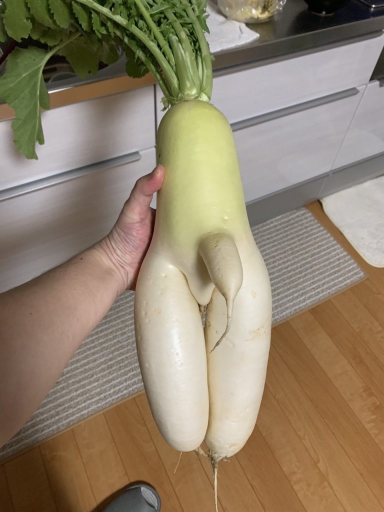 Japanese finds r-rated daikon - daikon with offending appendage