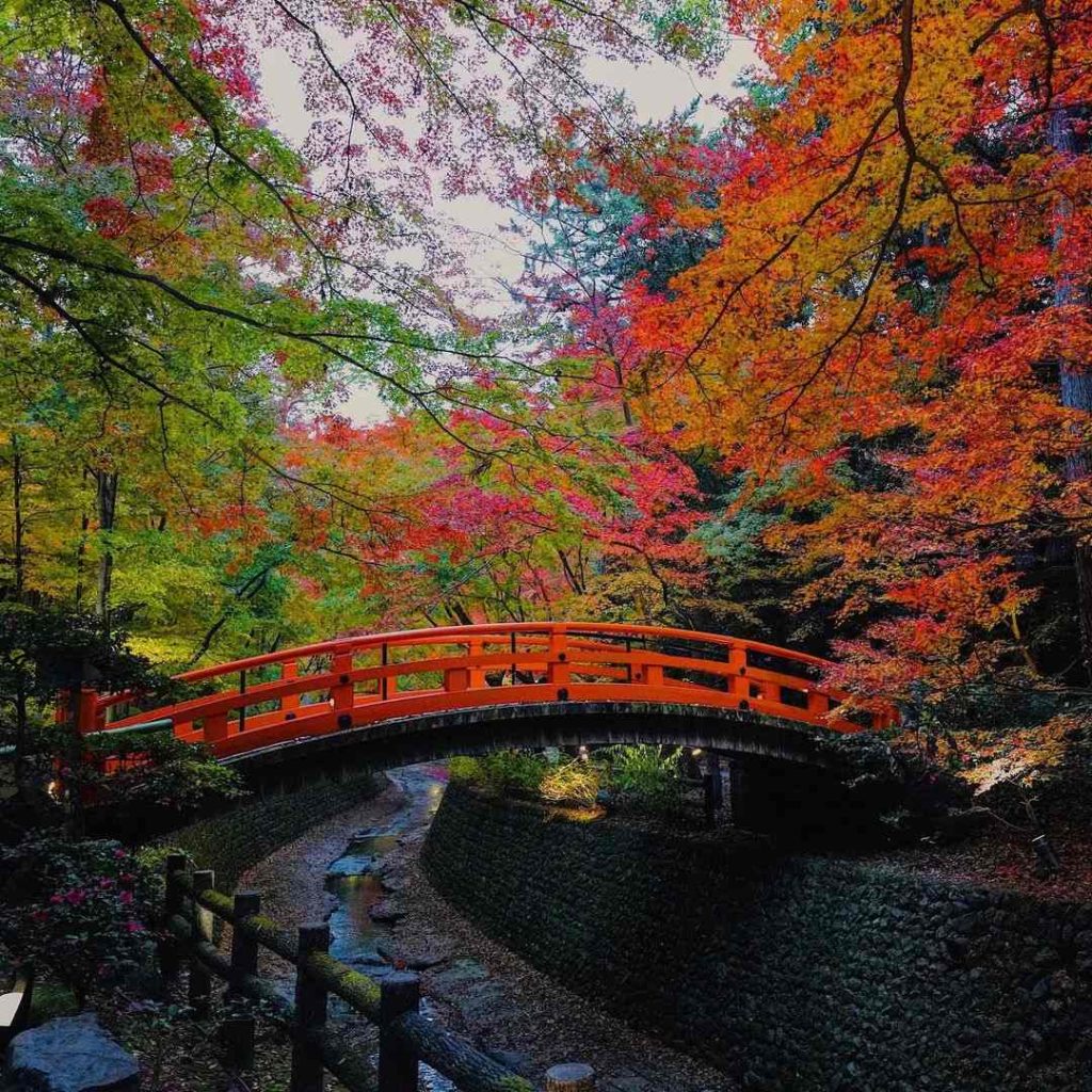 Kyoto shrines - kitano tenmangu