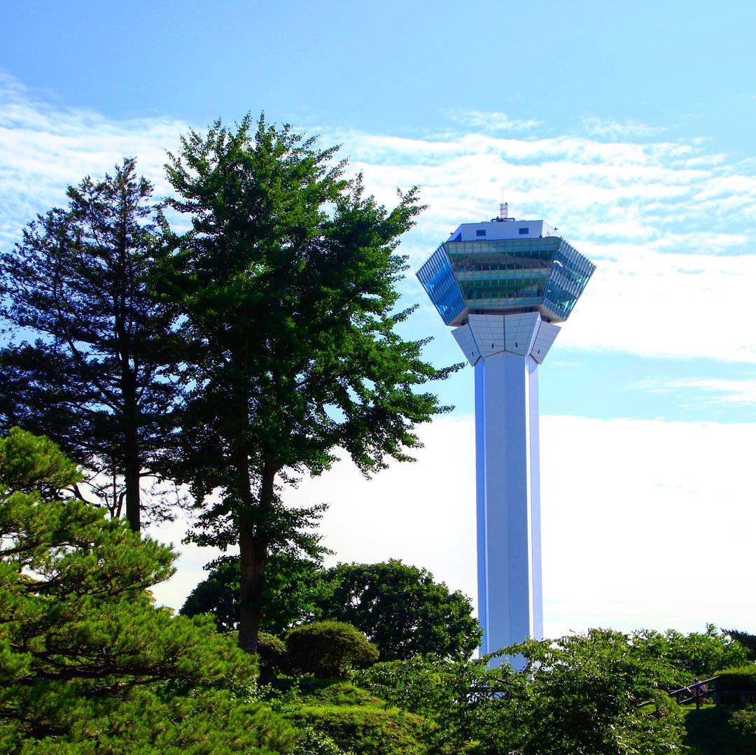 goryokaku park - goryokaku tower