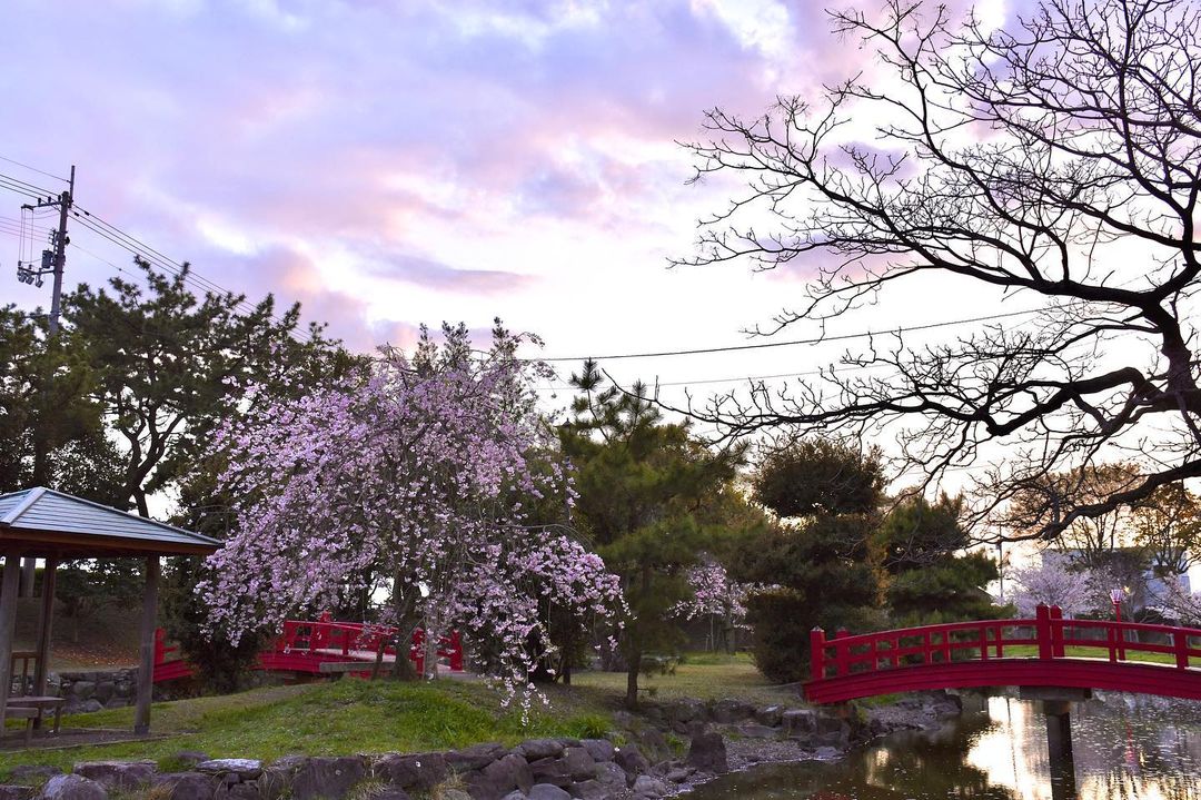 kotohiki park in kagawa - scenic beauty
