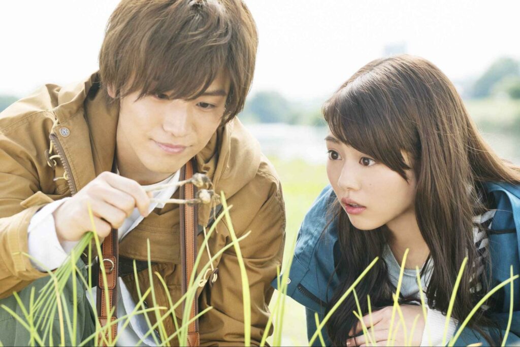 Japanese romance moviesJapanese romance movies - Evergreen Love