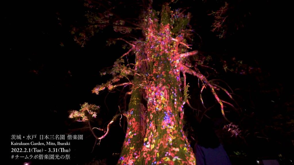 Kairakuen teamLab - giant taro cedar