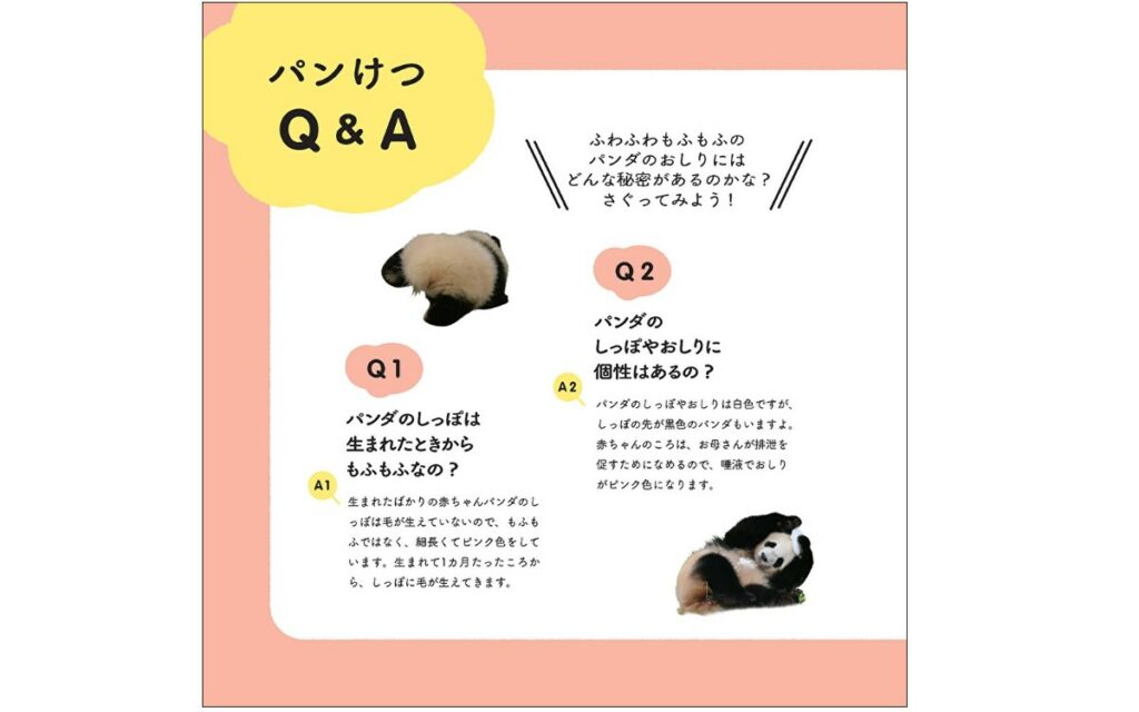 panda butt book - Q&A section