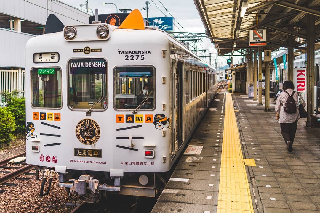 wakayama tama densha - train