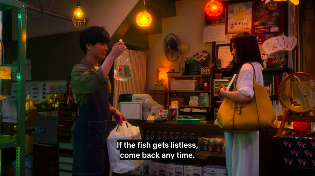 fishbowl wives - sakura buying a goldfish