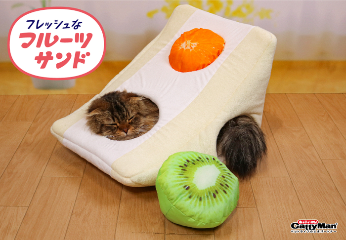 Snack cat beds 
