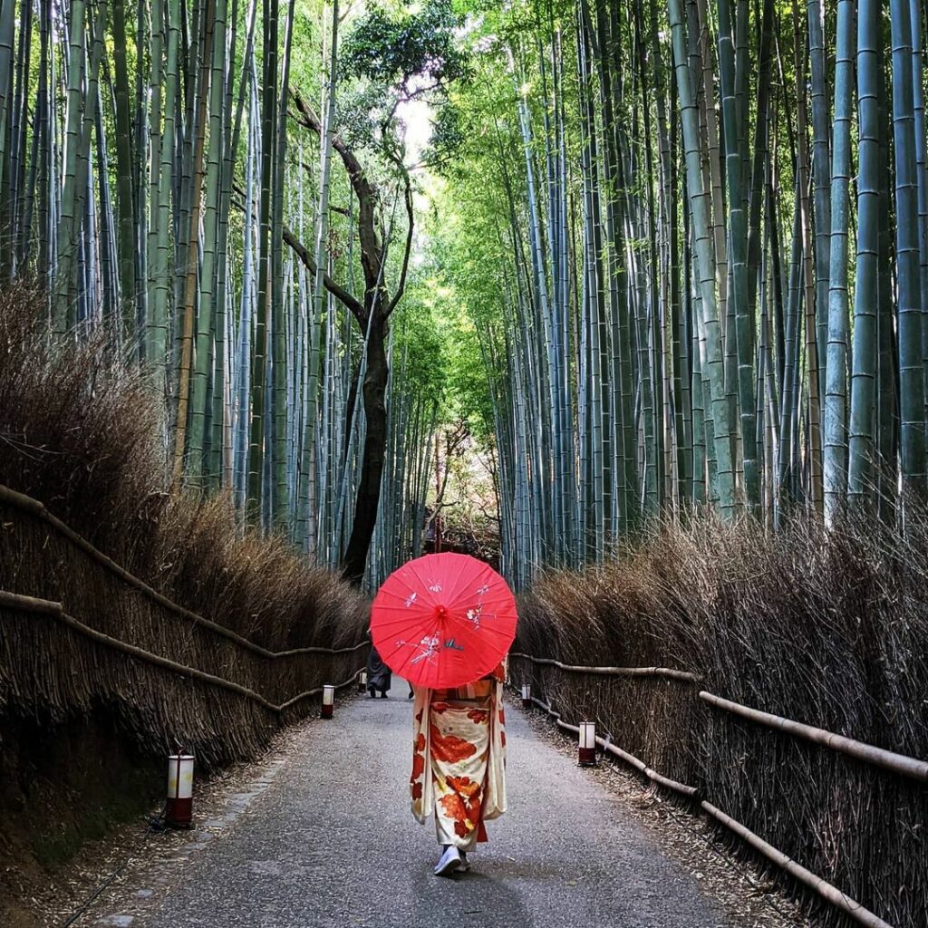 Arashiyama Bamboo Grove - traditional garment with red umbrella