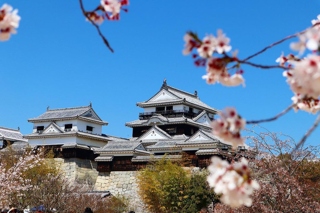 ehime - matsuyama castle
