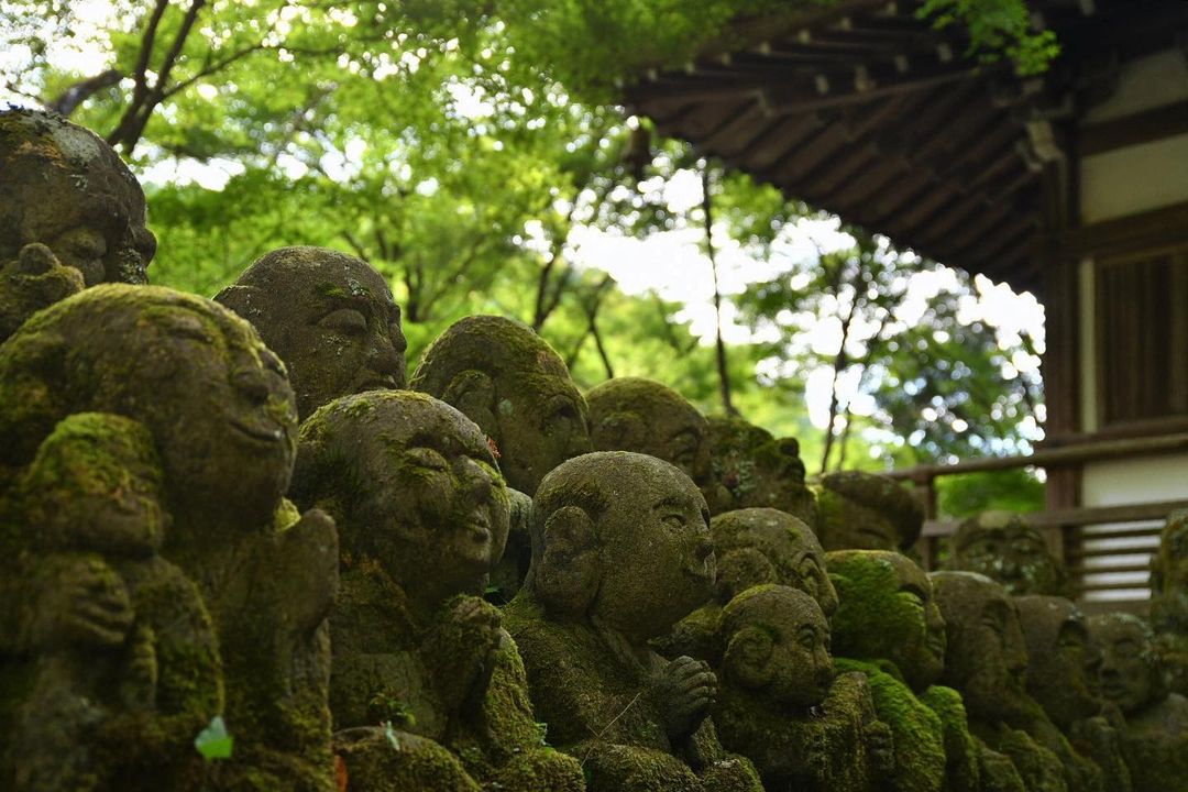 Otagi Nenbutsu-ji - covered in moss and the guise of time