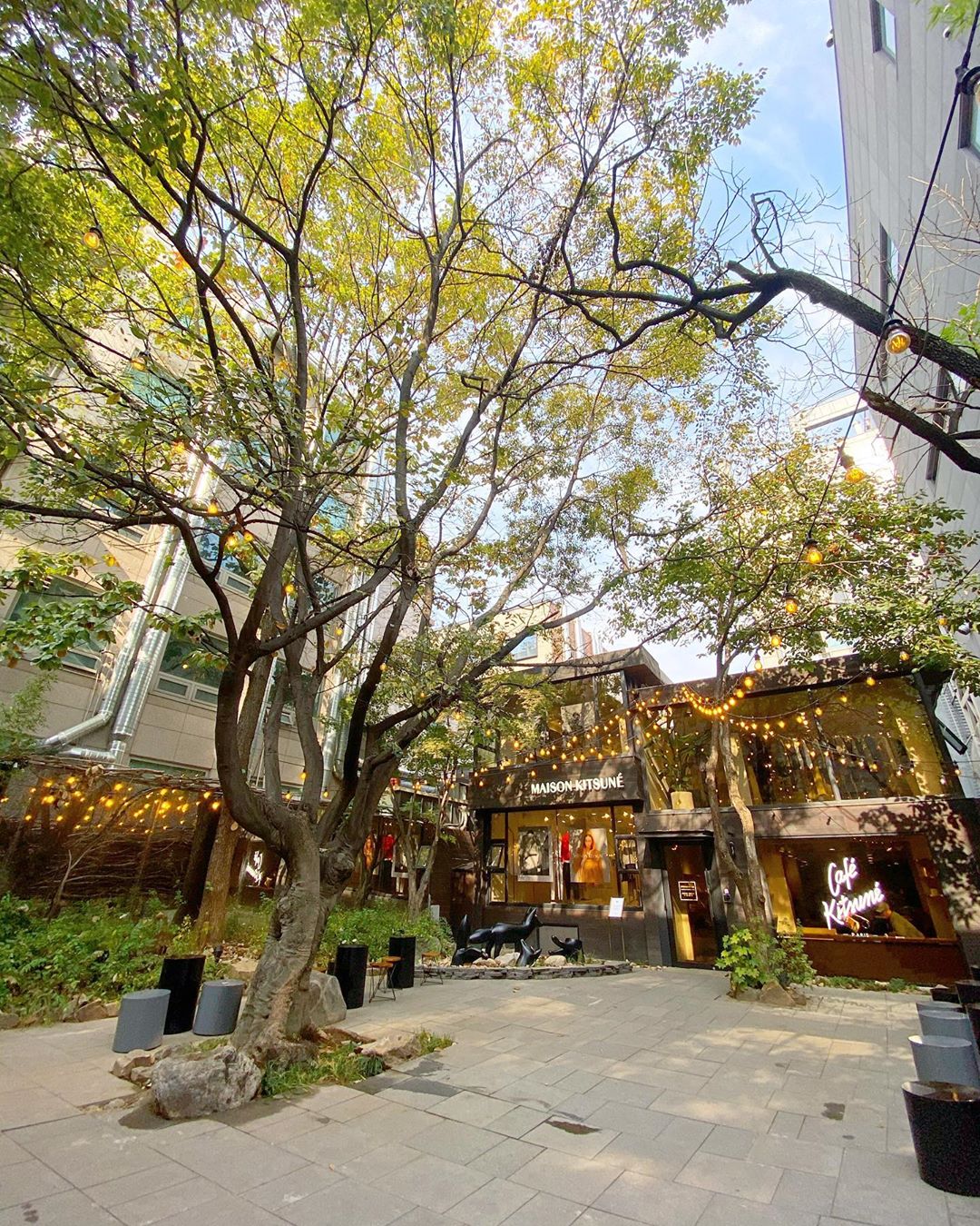 Cafe Kitsuné frontyard