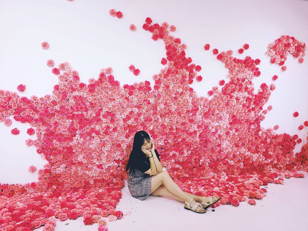 Rose Petal Yeonnam-dong - Pink Rose installation
