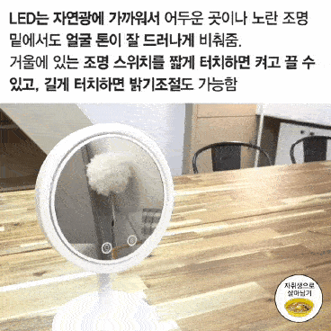 Korean Lifestyle Goods - led beauty mirror fan