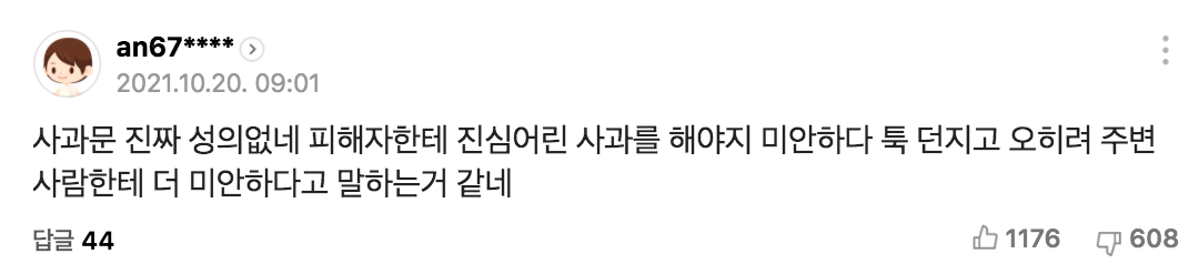 Kim Seon-ho apology - netizen comment