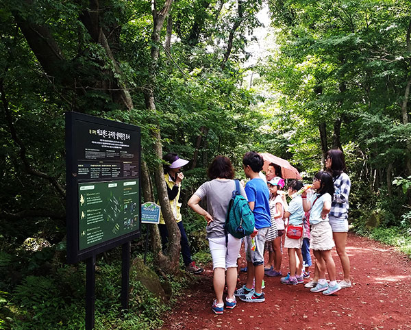 Theme parks in Korea - Gotjawal forest trail