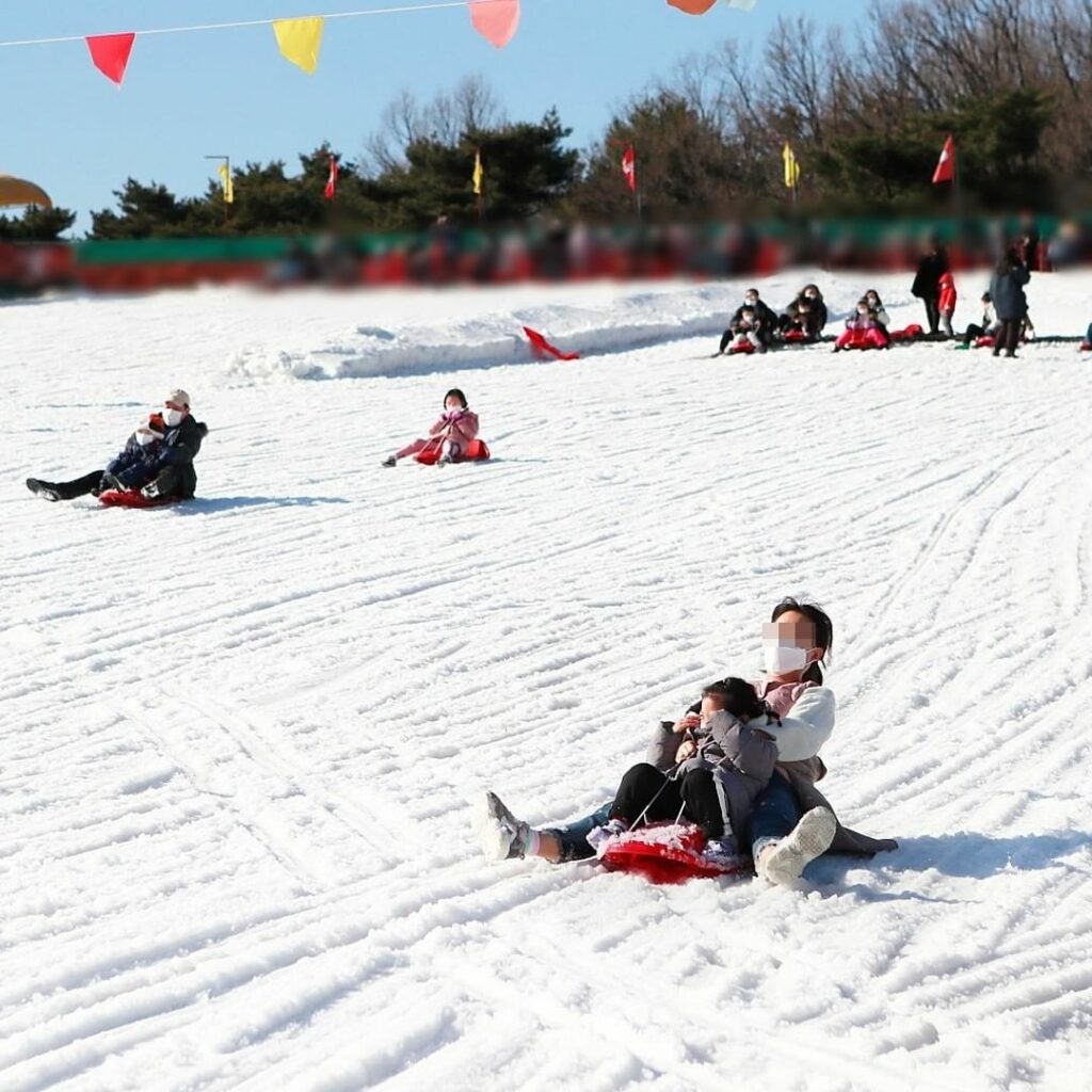 Theme parks in Korea - Snow Sled at Samchulli Hill 