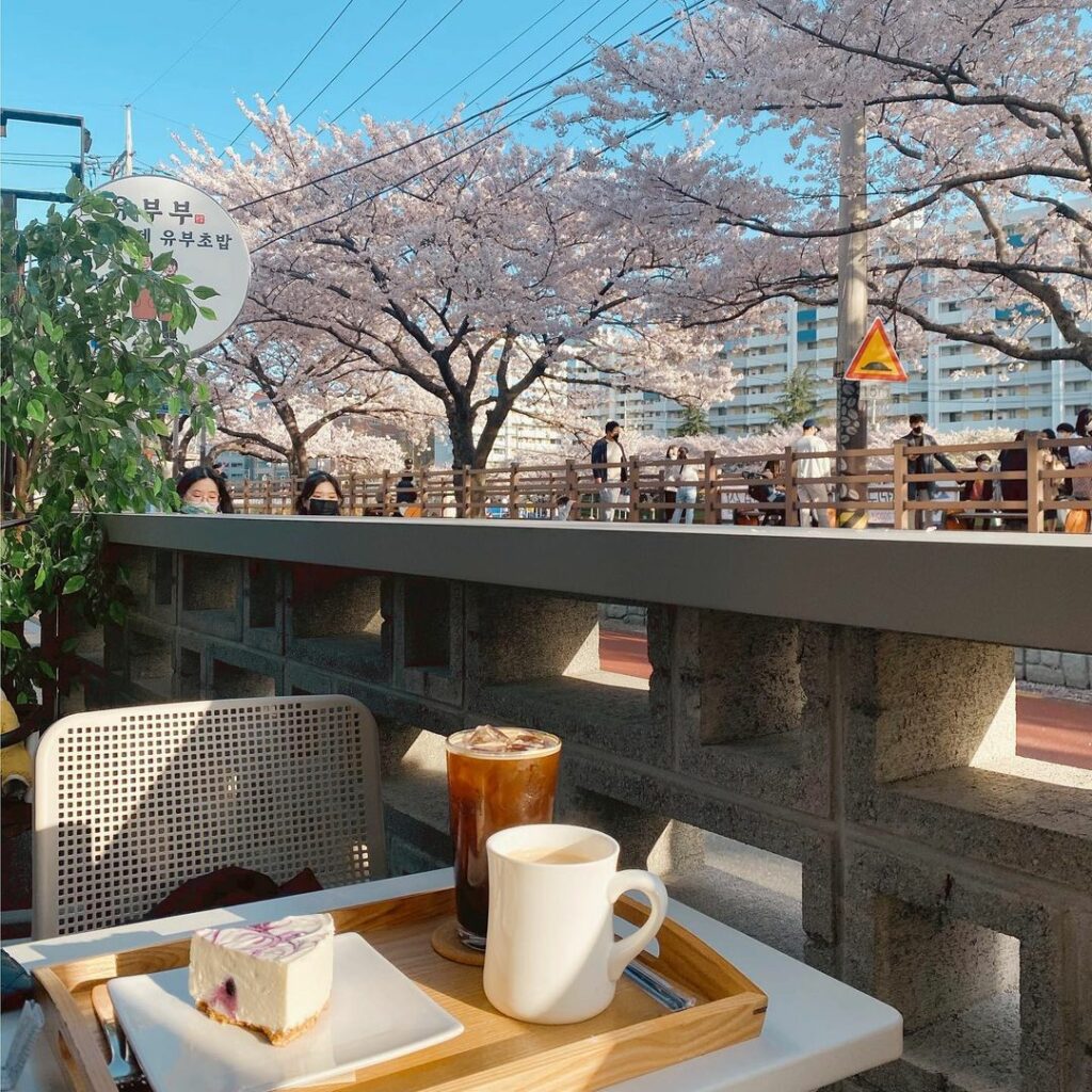 Cherry blossom cafes in Korea - L'essai cafe outdoor seats