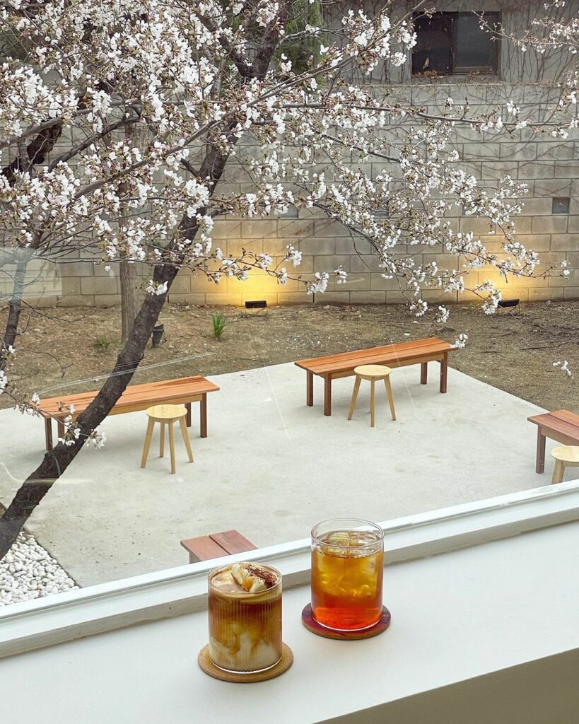 Cherry blossom cafes in Korea - Akinyi cafe drinks