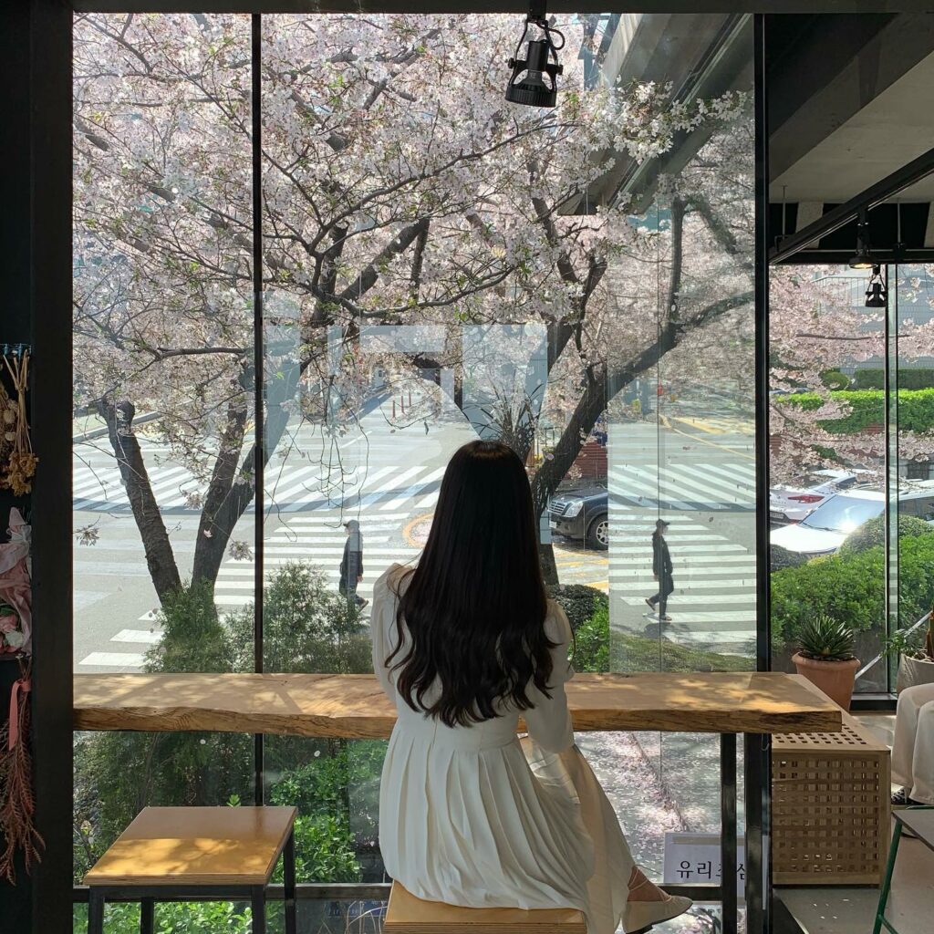 Cherry blossom cafes in Korea - cafe ITTI interior