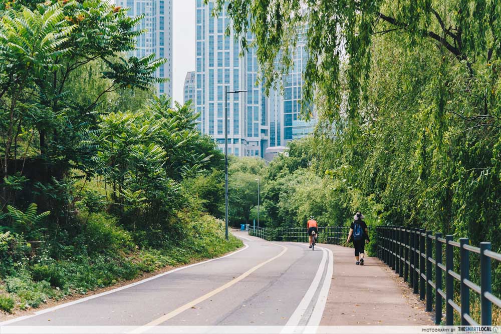 Han River Park - Scenic cycling trail with the best view of Han River 