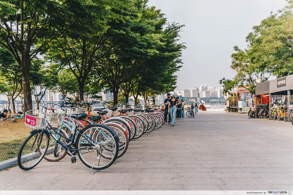 Han River Park - rows of bicycles including city bikes and mountain bikes 