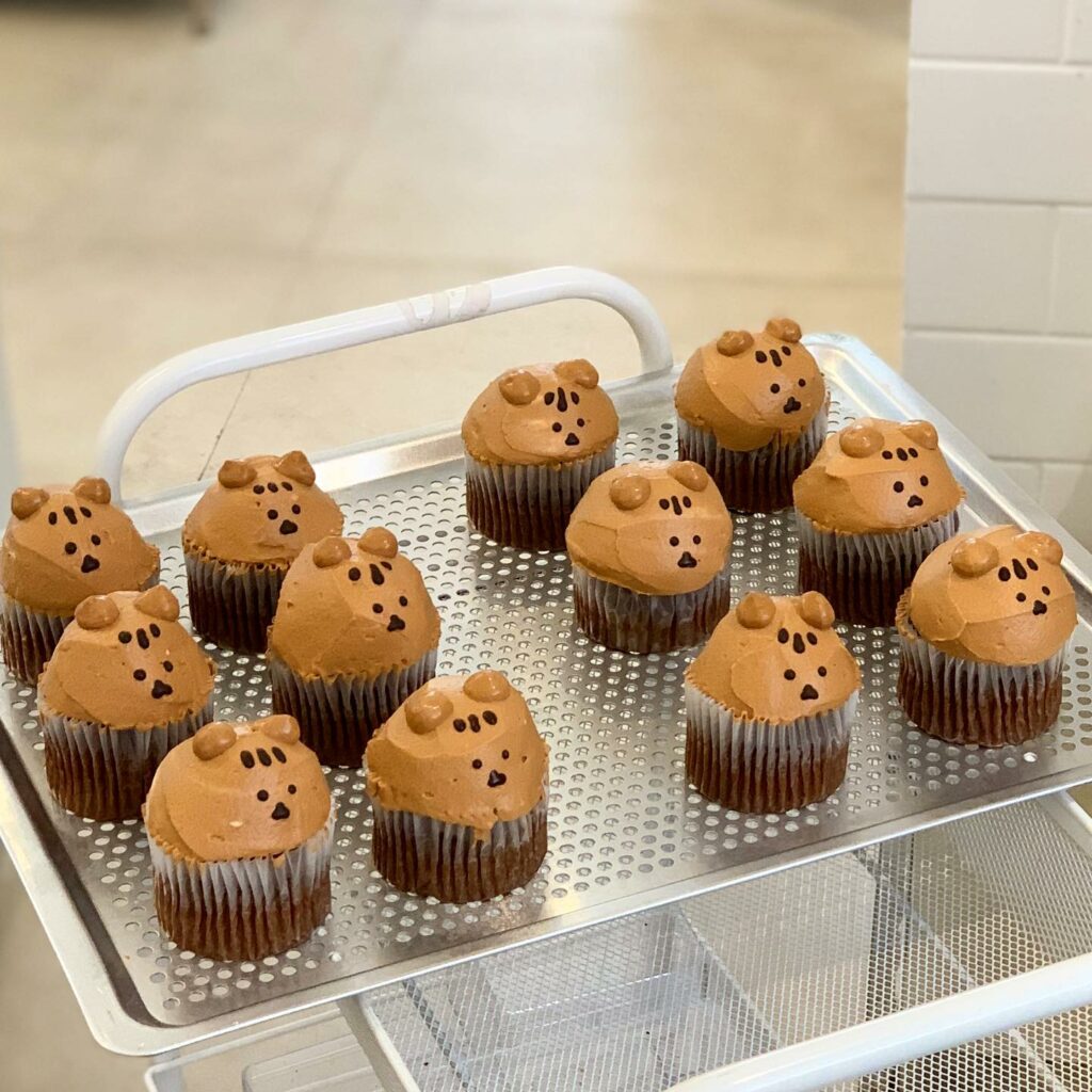 chani bar - muffins